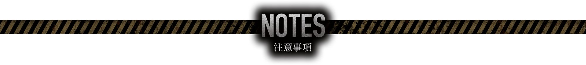 NOTES 注意事項