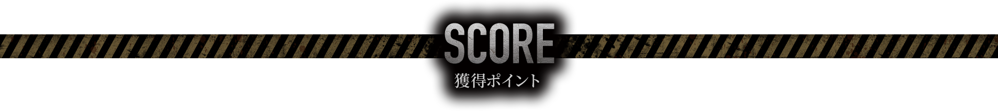 SCORE 獲得ポイント